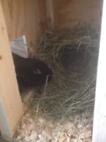 IMG_0889.JPG IMG_0889.JPG