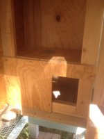 IMG_0871.JPG IMG_0871.JPG