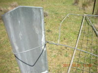 dorper fencing 002.JPG