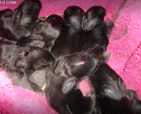 Screen Shot 2017-11-01 at 5.28.22 PM.png Screen Shot 2017-11-01 at 5.28.22 PM.png