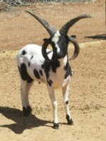 be98aea0-b049-4826-8478-d5f9d465b2fd.jpg be98aea0-b049-4826-8478-d5f9d465b2fd.jpg