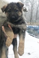 part0_5.jpg part0_5.jpg