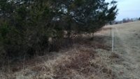 20180209_175519.jpg 20180209_175519.jpg