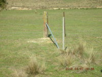 FENCE 2018 004.JPG