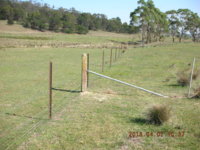 FENCE 2018 005.JPG
