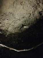 20180508_170946.jpg