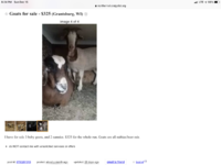 12915944-F8E8-40CA-9D14-F43A5A244976.png