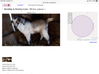 9E72C5D7-A693-45C5-B60C-56A3360D1BB8.png