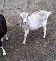 20190113_094329 (2).jpg