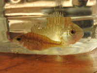 DSCN1464.JPG DSCN1464.JPG