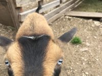 IMG-0593.JPG IMG-0593.JPG