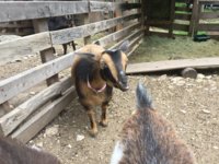 IMG-0588.JPG IMG-0588.JPG