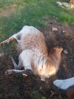 IMG_20190506_183209956.jpg IMG_20190506_183209956.jpg