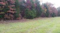 20181105_083906_east_side_of_driveway_reduced.jpg 20181105_083906_east_side_of_driveway_reduced.jpg