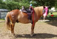 20190606_170135.jpg 20190606_170135.jpg