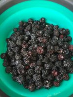 36E94913-7FEF-4F4D-9C58-5DFFEBB148F2.jpeg 36E94913-7FEF-4F4D-9C58-5DFFEBB148F2.jpeg