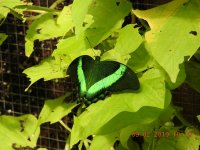 DSCN1725.JPG