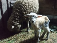 71895271_2588462831221579_7497325371805663232_o.jpg 71895271_2588462831221579_7497325371805663232_o.jpg