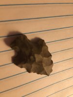 74396260_10218461614705394_22690312224768_n.jpg 74396260_10218461614705394_22690312224768_n.jpg