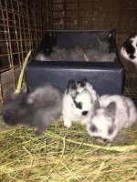 72791340_2927596007268204_6576477086393827328_n.jpg 72791340_2927596007268204_6576477086393827328_n.jpg