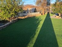 IMG_5317.jpg IMG_5317.jpg