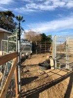 IMG_5343.jpg IMG_5343.jpg