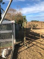 IMG_5344.jpg IMG_5344.jpg