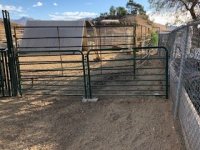 IMG_5350.jpg IMG_5350.jpg