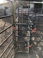 IMG_5352.jpg IMG_5352.jpg