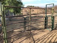 IMG_5366.jpg IMG_5366.jpg