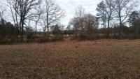 20191210_135507_south_pasture_looking_north.jpg