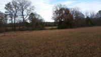 20191210_135512_south_pasture_looking_north.jpg