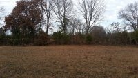 20191210_135556_south_pasture_looking_north.jpg