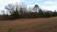 20191210_135601_south_pasture_looking_north.jpg