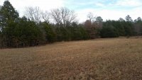 20191210_135651_south_pasture_looking_north.jpg