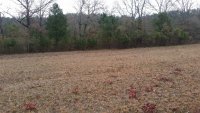 20191210_135831_south_pasture_looking_south.jpg