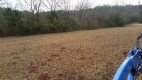 20191210_135836_south_pasture_looking_south.jpg