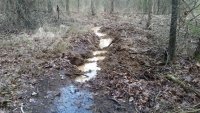 20200224_095616_drainage_ditch.jpg 20200224_095616_drainage_ditch.jpg