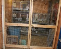 Front doors of rabbit area.JPG