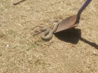 20200501_120749.jpg 20200501_120749.jpg