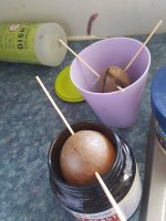 20200505_181253.jpg