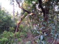 20200517_191425_HDR.jpg 20200517_191425_HDR.jpg