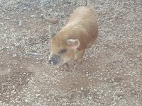 20200603_182044.jpg 20200603_182044.jpg