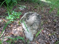 20200626_122216.jpg 20200626_122216.jpg