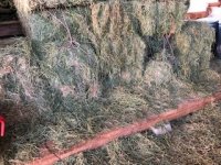 IMG_5900.jpg IMG_5900.jpg