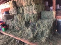 IMG_5899.jpg IMG_5899.jpg