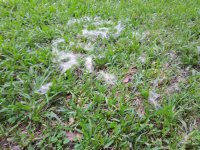 20200716_152255.jpg 20200716_152255.jpg