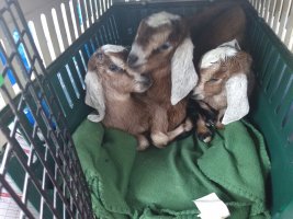 IMG_20210211_145354695.jpg IMG_20210211_145354695.jpg