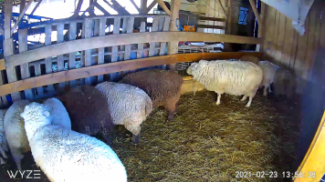 2CAA8ED99E2F_1614106599262.png 2CAA8ED99E2F_1614106599262.png