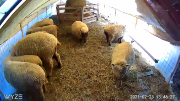 2CAA8ED99E2F_1614105987732.png 2CAA8ED99E2F_1614105987732.png